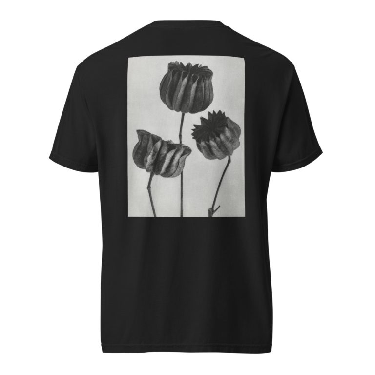 Karl Blossfeldt Lindenmalve Heavyweight T-Shirt – Schwarz, Rückenansicht